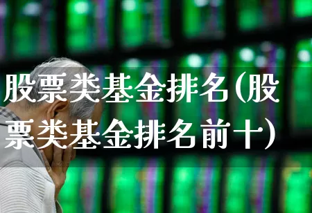 股票类基金排名(股票类基金排名前十)_https://www.haiwangdasha.com_深交所_第1张