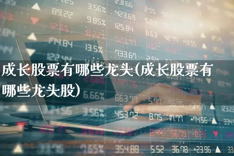成长股票有哪些龙头(成长股票有哪些龙头股)_https://www.haiwangdasha.com_深交所_第1张