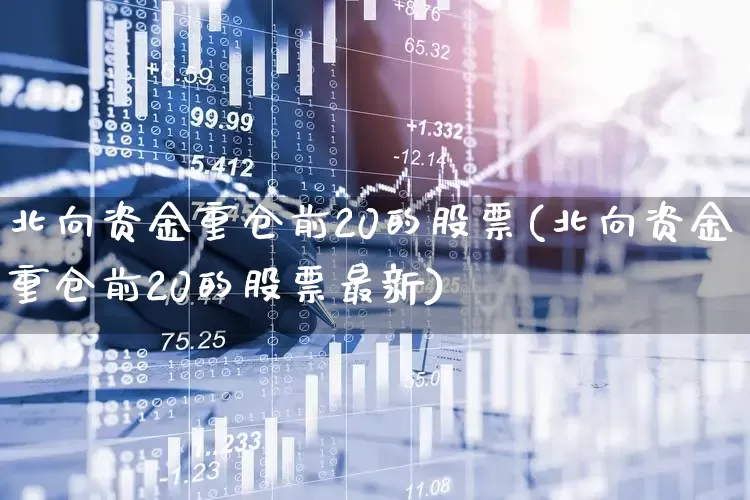 北向资金重仓前20的股票(北向资金重仓前20的股票最新)_https://www.haiwangdasha.com_创业板_第1张