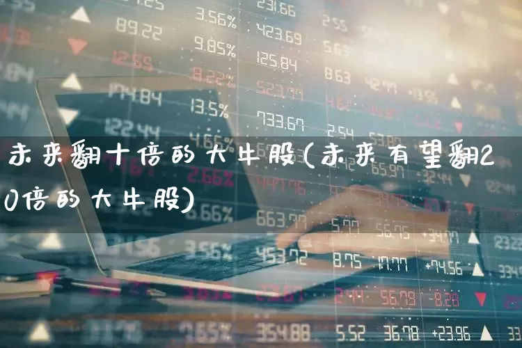未来翻十倍的大牛股(未来有望翻20倍的大牛股)_https://www.haiwangdasha.com_上交所_第1张