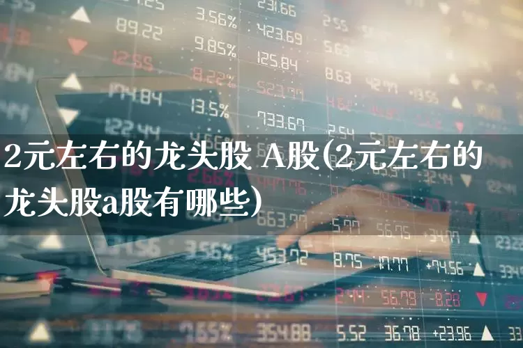 2元左右的龙头股 A股(2元左右的龙头股a股有哪些)_https://www.haiwangdasha.com_深交所_第1张