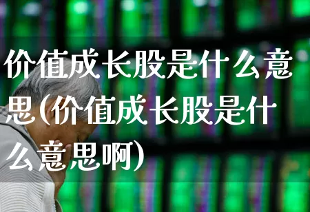 价值成长股是什么意思(价值成长股是什么意思啊)_https://www.haiwangdasha.com_北交所_第1张