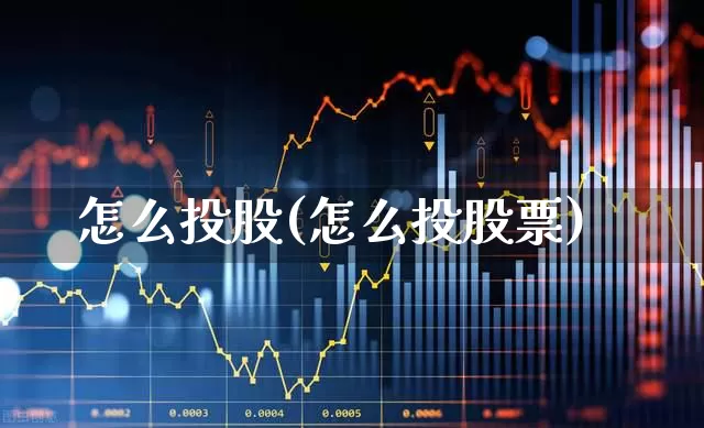 怎么投股(怎么投股票)_https://www.haiwangdasha.com_深交所_第1张