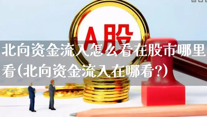 北向资金流入怎么看在股市哪里看(北向资金流入在哪看?)_https://www.haiwangdasha.com_创业板_第1张