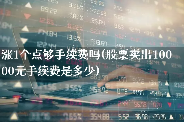 涨1个点够手续费吗(股票卖出10000元手续费是多少)_https://www.haiwangdasha.com_北交所_第1张