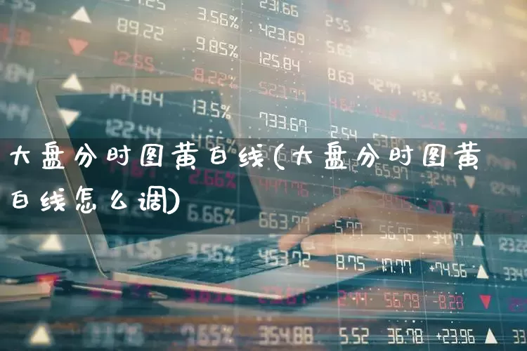 大盘分时图黄白线(大盘分时图黄白线怎么调)_https://www.haiwangdasha.com_郑商所_第1张