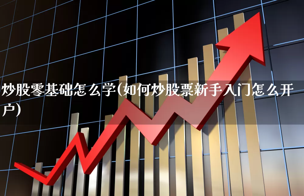 炒股零基础怎么学(如何炒股票新手入门怎么开户)_https://www.haiwangdasha.com_深交所_第1张