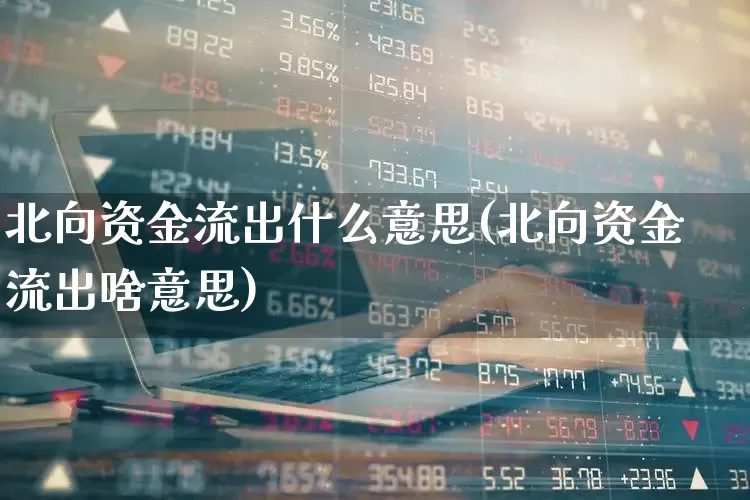 北向资金流出什么意思(北向资金流出啥意思)_https://www.haiwangdasha.com_科创板_第1张