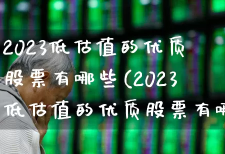 2023低估值的优质股票有哪些(2023低估值的优质股票有哪些呢)_https://www.haiwangdasha.com_科创板_第1张