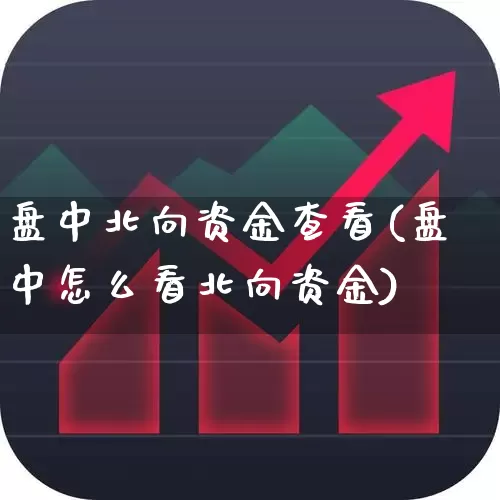 盘中北向资金查看(盘中怎么看北向资金)_https://www.haiwangdasha.com_深交所_第1张