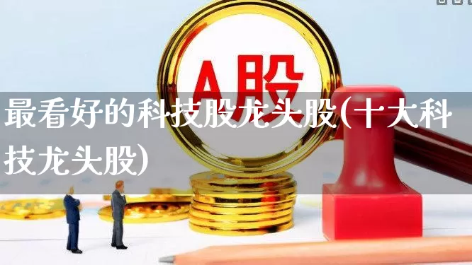 最看好的科技股龙头股(十大科技龙头股)_https://www.haiwangdasha.com_深交所_第1张
