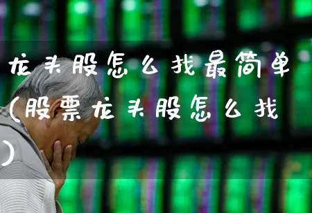 龙头股怎么找最简单(股票龙头股怎么找)_https://www.haiwangdasha.com_科创板_第1张