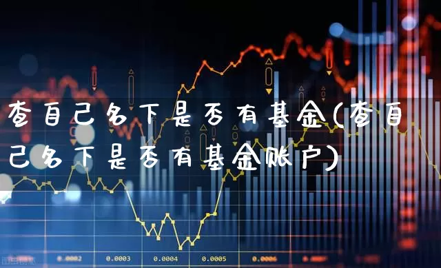 查自己名下是否有基金(查自己名下是否有基金账户)_https://www.haiwangdasha.com_创业板_第1张