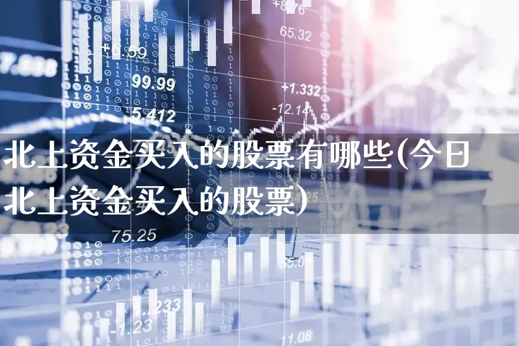 北上资金买入的股票有哪些(今日北上资金买入的股票)_https://www.haiwangdasha.com_科创板_第1张