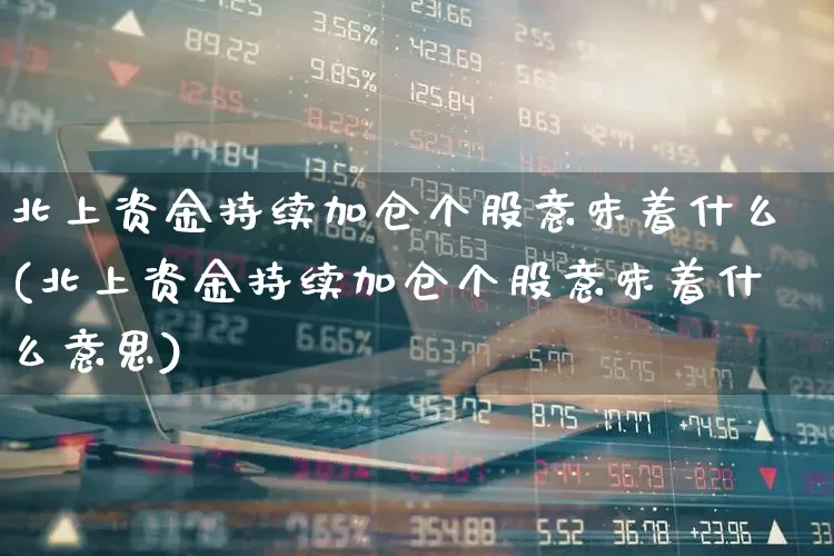 北上资金持续加仓个股意味着什么(北上资金持续加仓个股意味着什么意思)_https://www.haiwangdasha.com_北交所_第1张