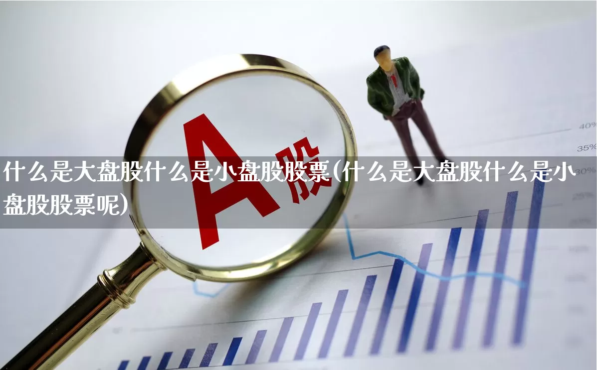 什么是大盘股什么是小盘股股票(什么是大盘股什么是小盘股股票呢)_https://www.haiwangdasha.com_科创板_第1张