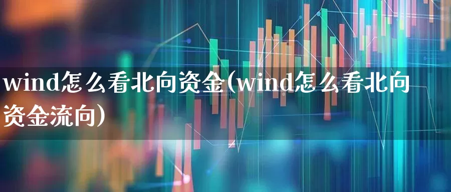 wind怎么看北向资金(wind怎么看北向资金流向)_https://www.haiwangdasha.com_北交所_第1张