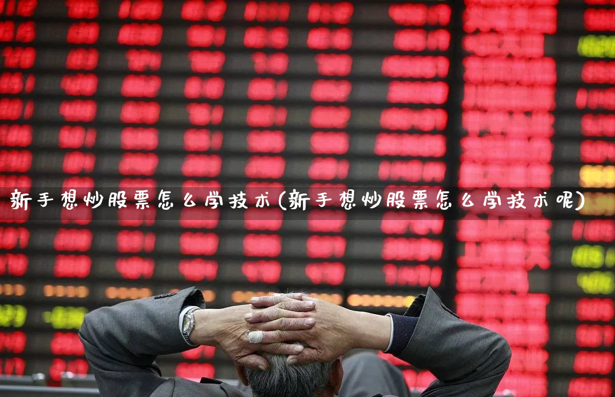 新手想炒股票怎么学技术(新手想炒股票怎么学技术呢)_https://www.haiwangdasha.com_北交所_第1张