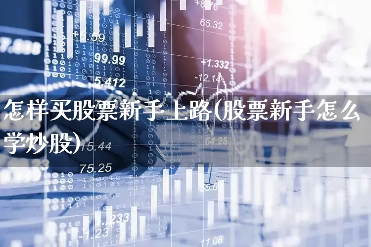怎样买股票新手上路(股票新手怎么学炒股)_https://www.haiwangdasha.com_上交所_第1张