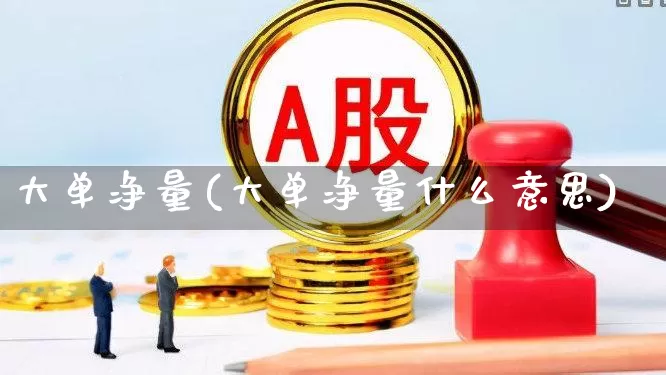 大单净量(大单净量什么意思)_https://www.haiwangdasha.com_北交所_第1张
