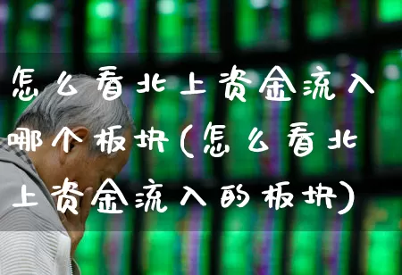 怎么看北上资金流入哪个板块(怎么看北上资金流入的板块)_https://www.haiwangdasha.com_北交所_第1张