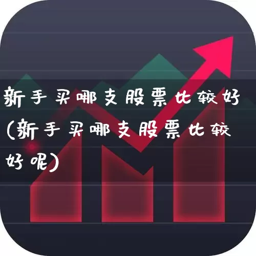 新手买哪支股票比较好(新手买哪支股票比较好呢)_https://www.haiwangdasha.com_科创板_第1张