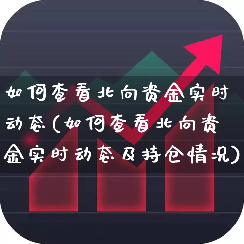 如何查看北向资金实时动态(如何查看北向资金实时动态及持仓情况)_https://www.haiwangdasha.com_创业板_第1张