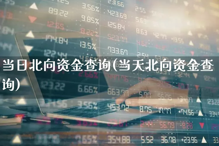 当日北向资金查询(当天北向资金查询)_https://www.haiwangdasha.com_深交所_第1张