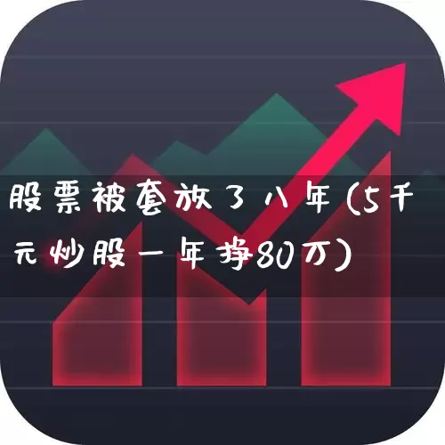 股票被套放了八年(5千元炒股一年挣80万)_https://www.haiwangdasha.com_深交所_第1张