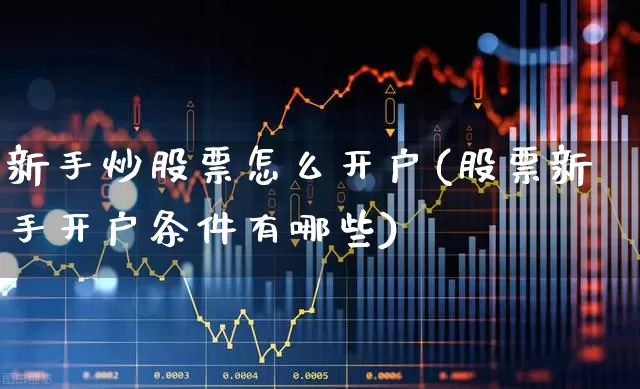 新手炒股票怎么开户(股票新手开户条件有哪些)_https://www.haiwangdasha.com_北交所_第1张