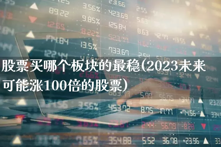股票买哪个板块的最稳(2023未来可能涨100倍的股票)_https://www.haiwangdasha.com_创业板_第1张