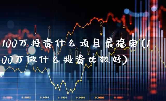 100万投资什么项目最稳定(100万做什么投资比较好)_https://www.haiwangdasha.com_北交所_第1张