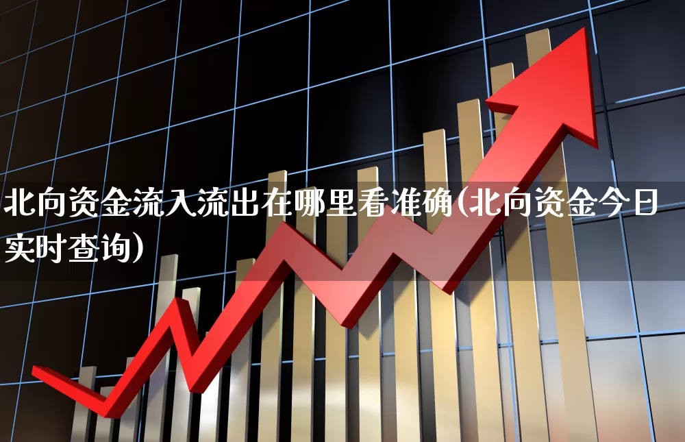 北向资金流入流出在哪里看准确(北向资金今日实时查询)_https://www.haiwangdasha.com_科创板_第1张