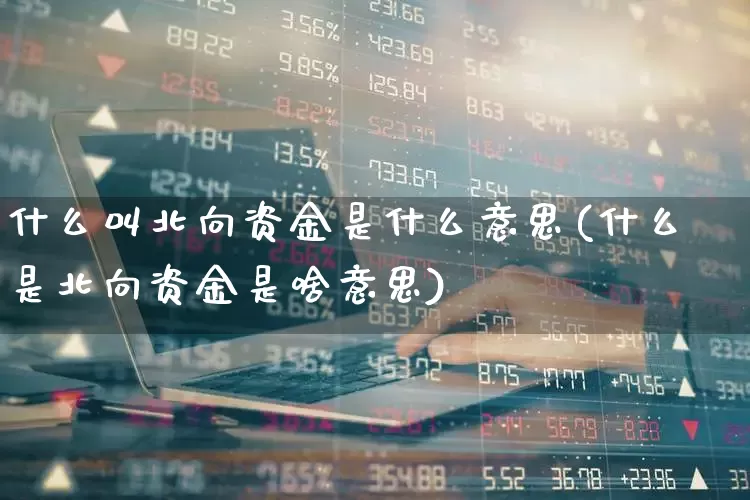 什么叫北向资金是什么意思(什么是北向资金是啥意思)_https://www.haiwangdasha.com_深交所_第1张
