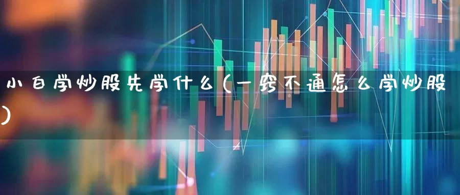 小白学炒股先学什么(一窍不通怎么学炒股)_https://www.haiwangdasha.com_深交所_第1张