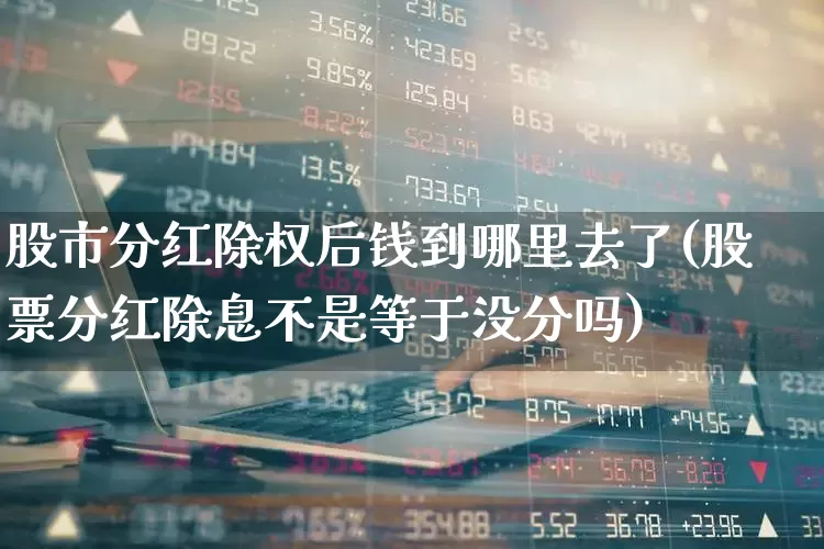 股市分红除权后钱到哪里去了(股票分红除息不是等于没分吗)_https://www.haiwangdasha.com_深交所_第1张
