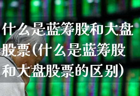 什么是蓝筹股和大盘股票(什么是蓝筹股和大盘股票的区别)_https://www.haiwangdasha.com_深交所_第1张