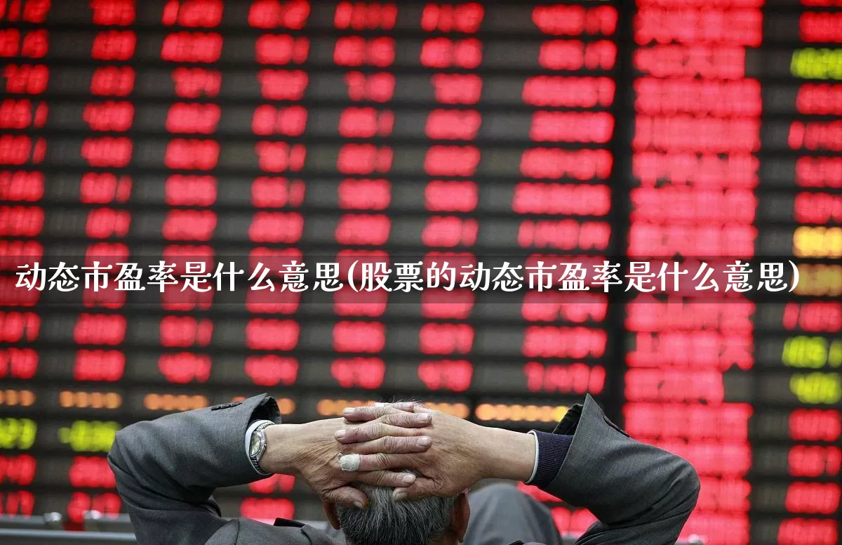 动态市盈率是什么意思(股票的动态市盈率是什么意思)_https://www.haiwangdasha.com_上交所_第1张