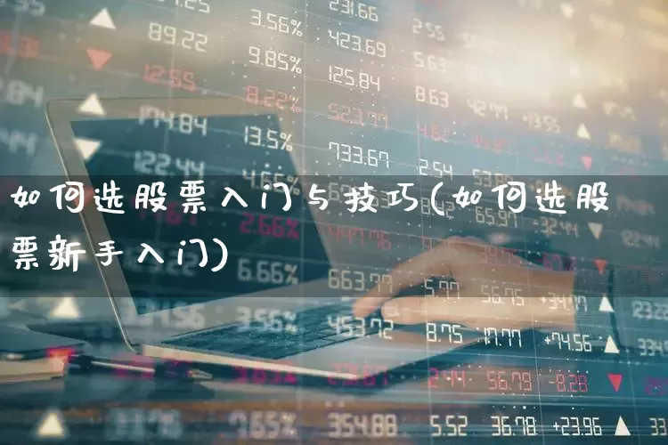 如何选股票入门与技巧(如何选股票新手入门)_https://www.haiwangdasha.com_科创板_第1张
