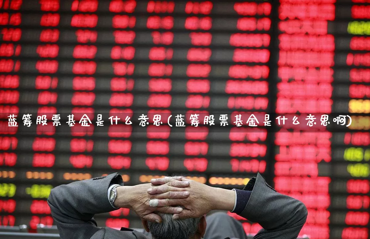 蓝筹股票基金是什么意思(蓝筹股票基金是什么意思啊)_https://www.haiwangdasha.com_北交所_第1张