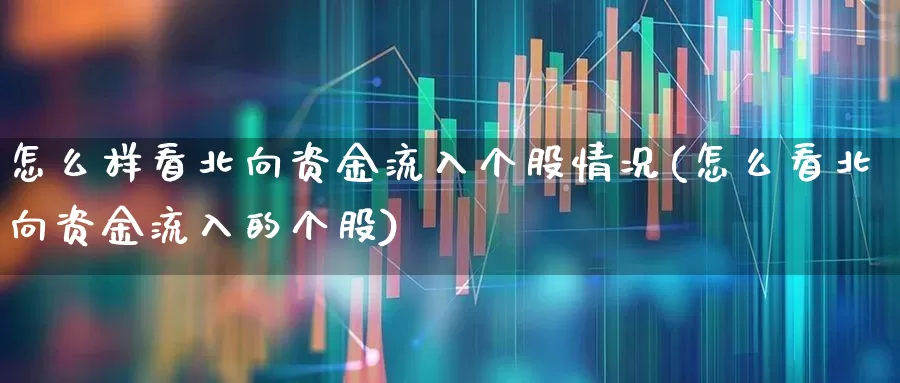 怎么样看北向资金流入个股情况(怎么看北向资金流入的个股)_https://www.haiwangdasha.com_上交所_第1张