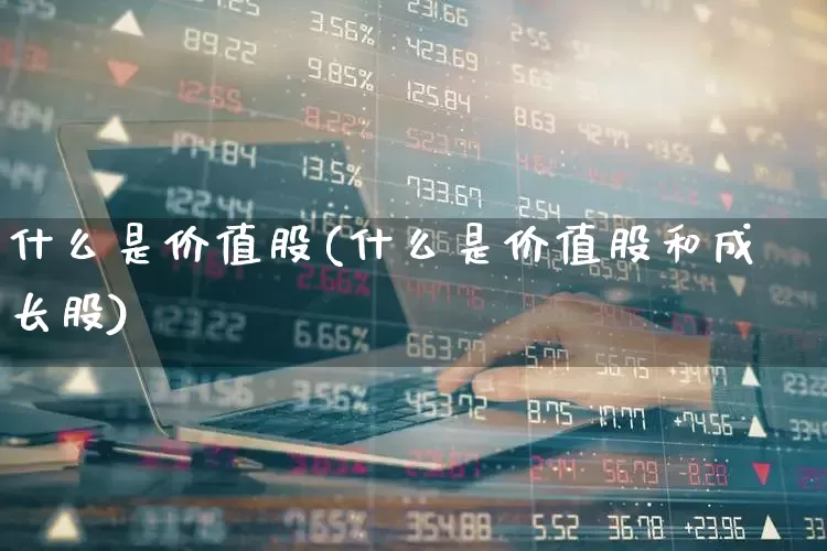 什么是价值股(什么是价值股和成长股)_https://www.haiwangdasha.com_北交所_第1张