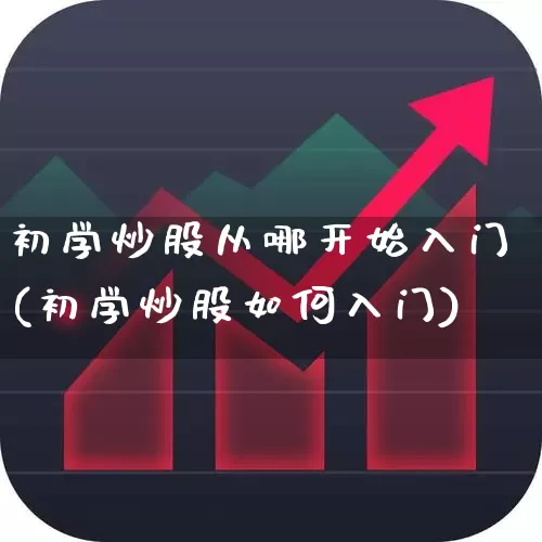 初学炒股从哪开始入门(初学炒股如何入门)_https://www.haiwangdasha.com_上交所_第1张