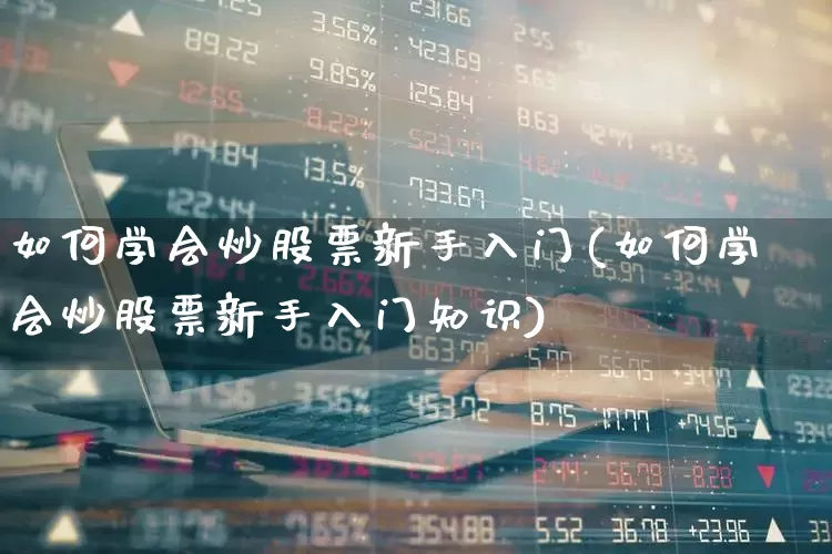 如何学会炒股票新手入门(如何学会炒股票新手入门知识)_https://www.haiwangdasha.com_创业板_第1张