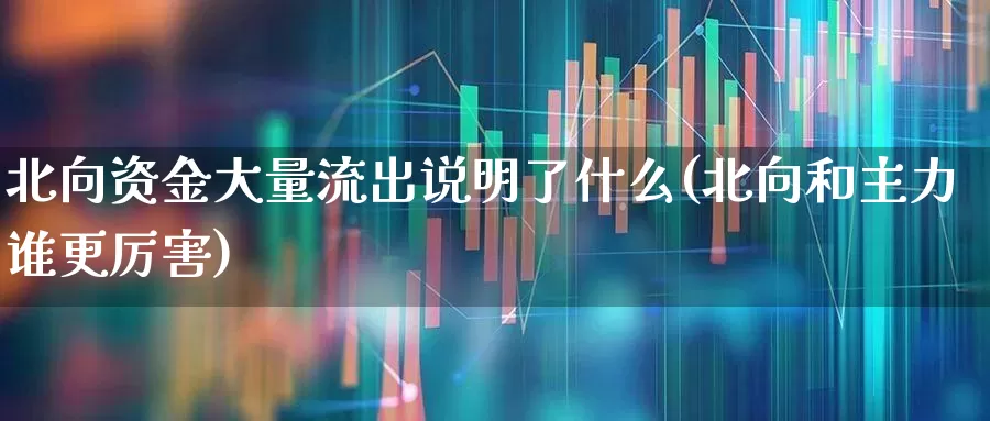 北向资金大量流出说明了什么(北向和主力谁更厉害)_https://www.haiwangdasha.com_深交所_第1张