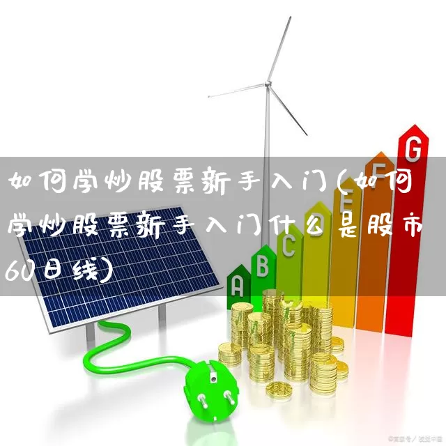 如何学炒股票新手入门(如何学炒股票新手入门什么是股市60日线)_https://www.haiwangdasha.com_北交所_第1张