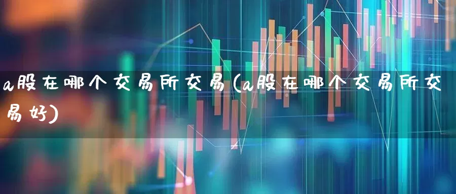 a股在哪个交易所交易(a股在哪个交易所交易好)_https://www.haiwangdasha.com_北交所_第1张