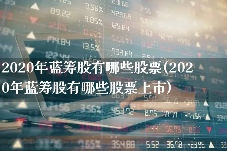 2020年蓝筹股有哪些股票(2020年蓝筹股有哪些股票上市)_https://www.haiwangdasha.com_上交所_第1张