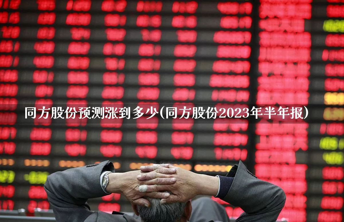 同方股份预测涨到多少(同方股份2023年半年报)_https://www.haiwangdasha.com_科创板_第1张