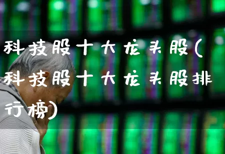 科技股十大龙头股(科技股十大龙头股排行榜)_https://www.haiwangdasha.com_北交所_第1张